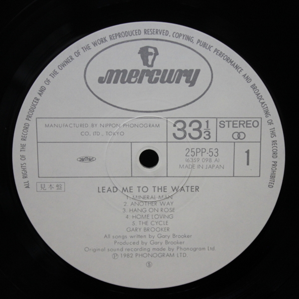 Gary Brooker / Lead Me To The Water (LP)