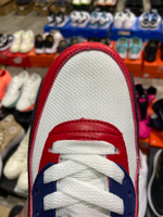 Nike Air Max 90 "USA"