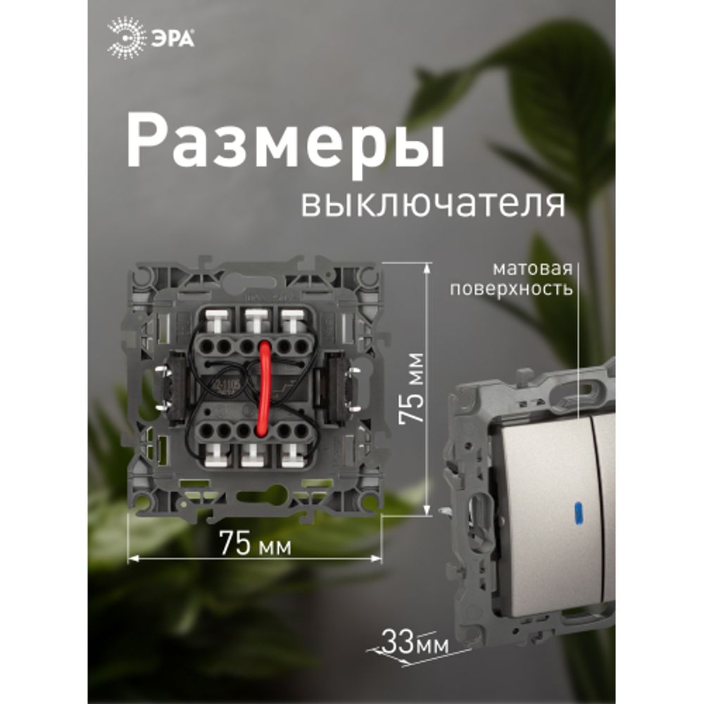 Выключатель ЭРА Серия 12 12-1105-16 двойной с подсветкой, 10АХ-250В, титан | Эра 12