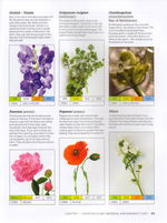 Flower Arranging: The complete guide for beginners