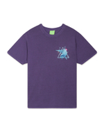 Мужская Футболка Space Dolphins Washed