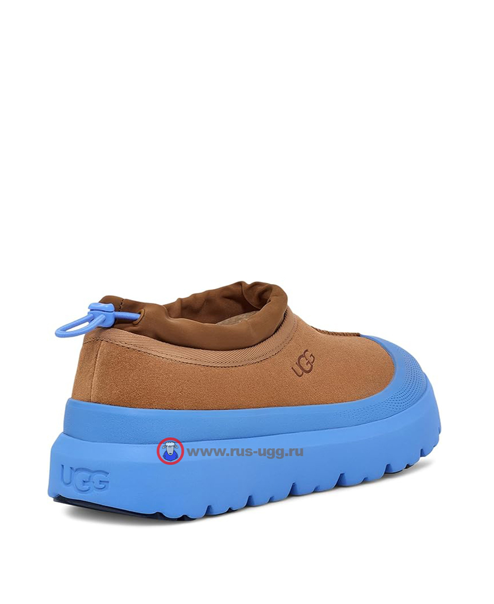 TASMAN WEATHER HYBRID SLIPPER Chestnut-Navy
