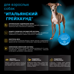 Корм сухой для взрослых собак породы Итальянский грейхаунд, с лососем, 800 гр, QUATTRO
