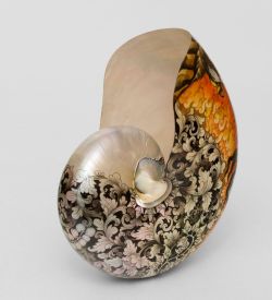 Decor and Gift 19-006 Ракушка расписная (о.Бали) L - Вариант A