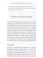Колесница, доставляющая в царство Четырех Кай. Этапы медитации