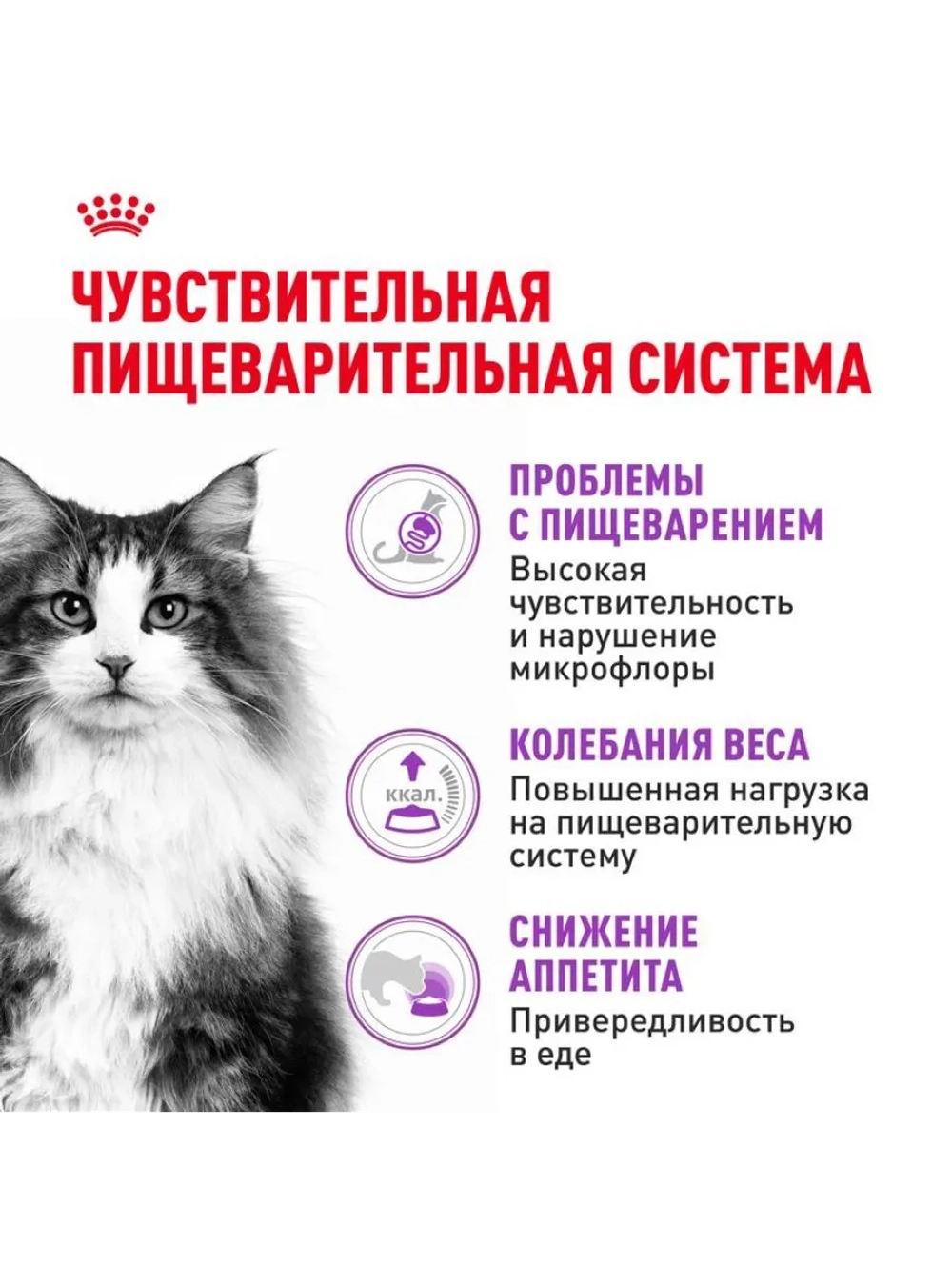 Sensible 33 Корм для кошек с чувствительным пищеварением 2кг