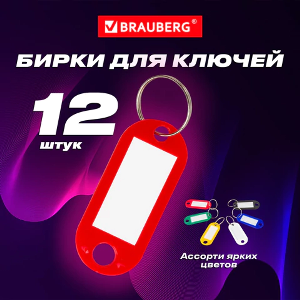 Бирки для ключей 12 шт., длина 50 мм, инфо-окно 30х15 мм, ассорти