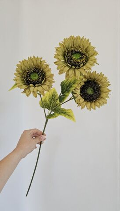 Подсолнух / Арт 2648