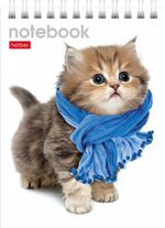 Блокнот А6, 40л, на гребне, клетка, Хатбер Милые котята, ассорти, 1 шт.
