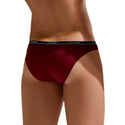 Трусы-слипы с низкой посадкой Second Skin Brief (Размер: L) (Цвет: бордовый)