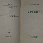 Тургенев. Богословский Николай Вениаминович