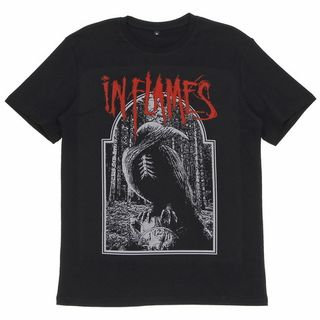 Футболка In Flames ворона (838)