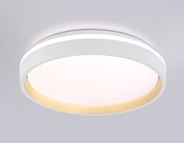 Светодиодный светильник RGB с пультом управления 66W 3000K-6500K+RGB FZ607 WH/GD белый/золото Dance Orbital Ambrella