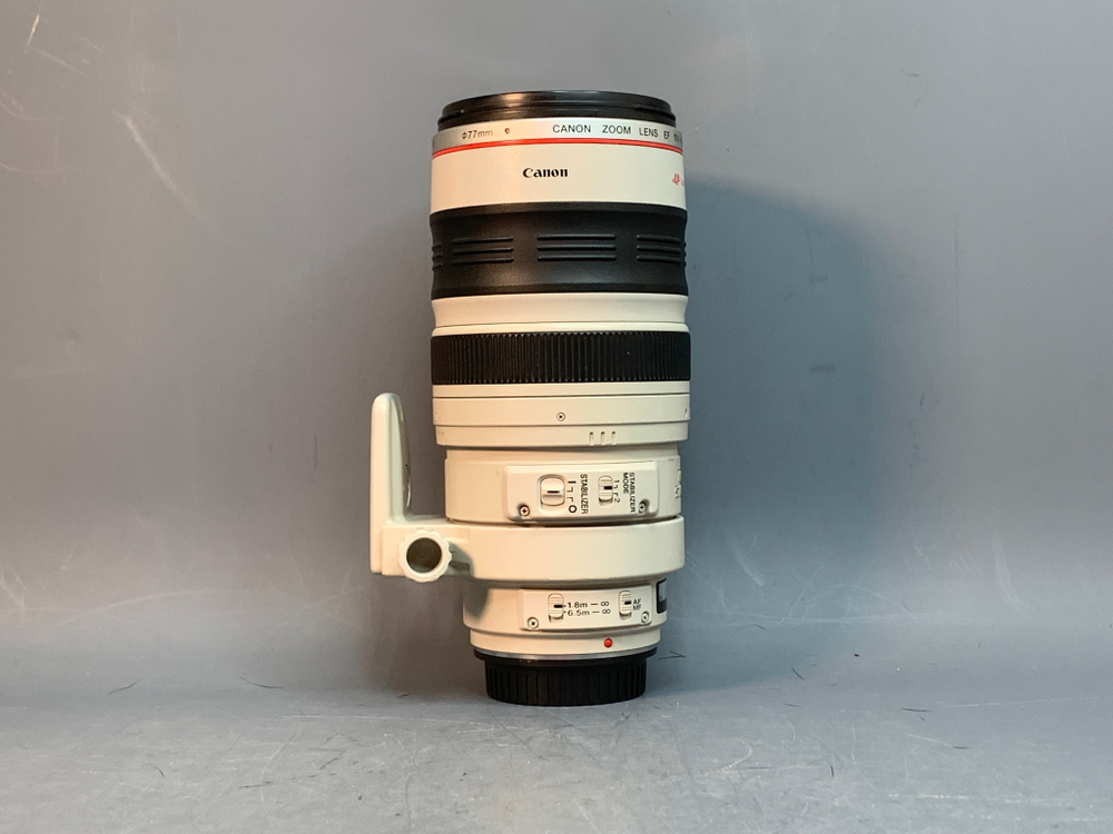 Canon EF 100-400mm 4.5-5.6L IS USM