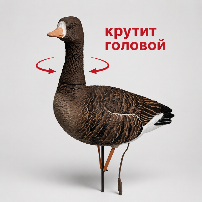 Белолобый гусь Duck Mania "ELITE ROBOT"