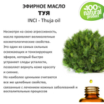 Эфирное масло ТУИ / Thuja oil