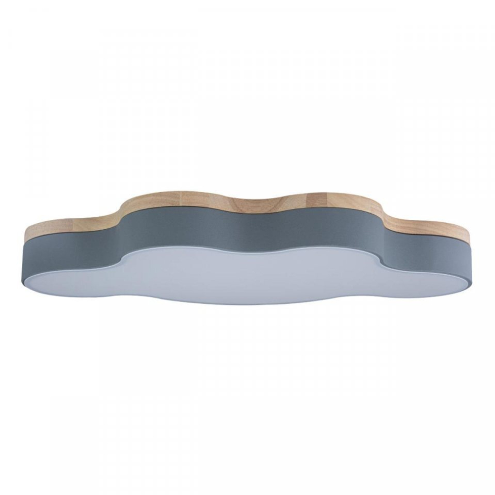 Потолочный светодиодный светильник Loft It Axel 10005/36 Grey