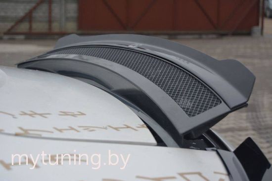 Сплиттеры задней двери комплект для AUDI R8 I (06-15)