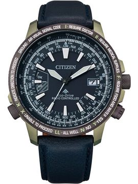 Наручные часы Citizen CB0204-14L