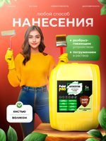Антисептик для тяжелых условий PaintPRO 5л