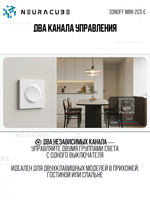 Двухканальный выключатель Matter с поддержкой Wi-Fi SONOFF MINI-2GS-E