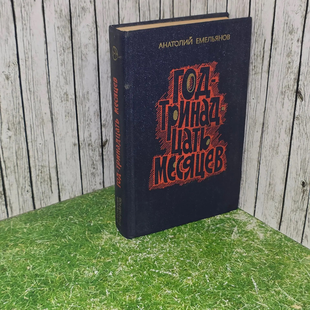 Емельянов Анатолий Викторович. Год - тринадцать месяцев