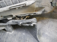 DSCN3098.jpg