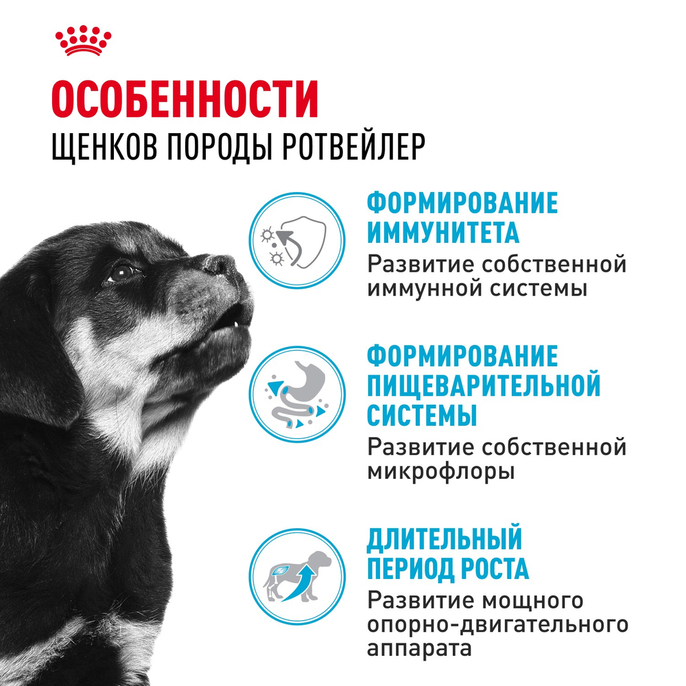 Royal Canin Rottweiller Puppy Ротвейлер Паппи Корм сухой для щенков породы Ротвейлер до 18 месяцев 12кг