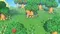 NSW Animal Crossing: New Horizons (Б/У, Полностью на русском языке)