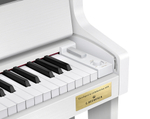 Casio GP-310