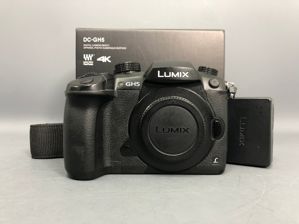 Panasonic Lumix GH5 (2.070 кадров)