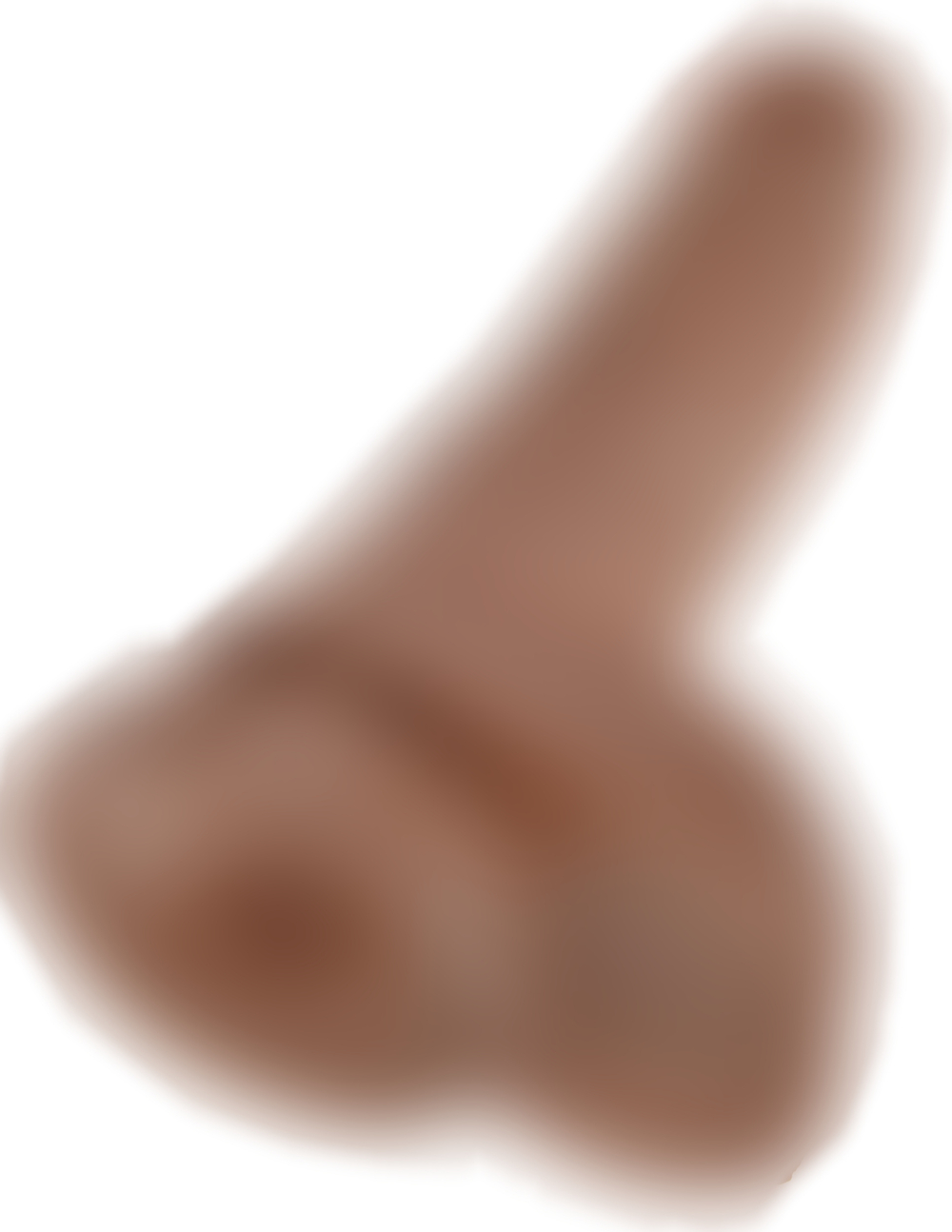 Фаллоимитатор King Cock 25 см мулат Cock with Balls Pipedream 550922PD
