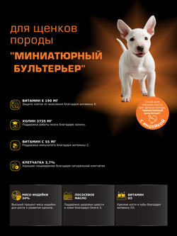Корм сухой для щенков породы Миниатюрный бультерьер, с индейкой, 12 кг, QUATTRO