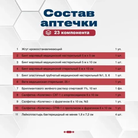 Аптечка  для  перевозки опасных грузов ФЭСТ сумка м.1186