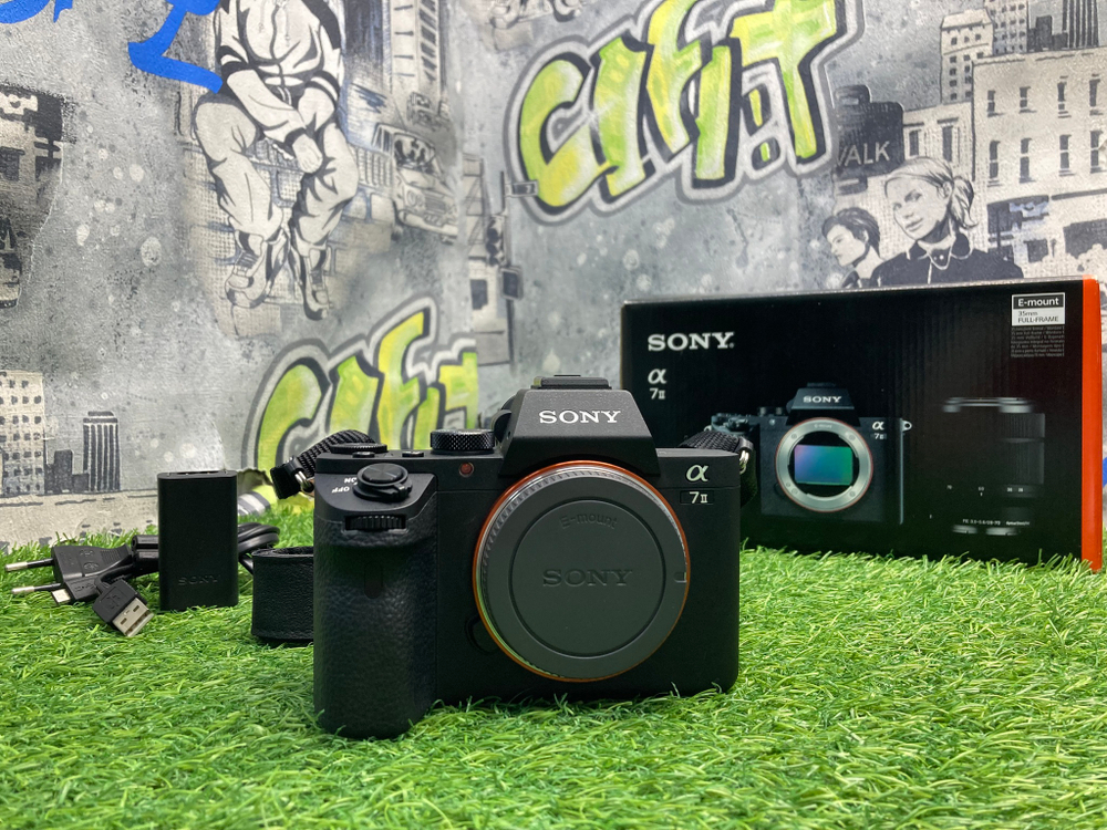 Sony A7 II 4.400 кадров