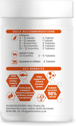 Vetzyme (Kitzyme) Conditioning Tablets Китзим для кошек