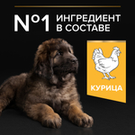 Сухой корм PRO PLAN HEALTHY START для щенков крупных пород с мощным телосложением курица 12 кг