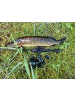 Спиннинг Maximus MINI GUN 15UL 1,5m 1-7g (top solid)