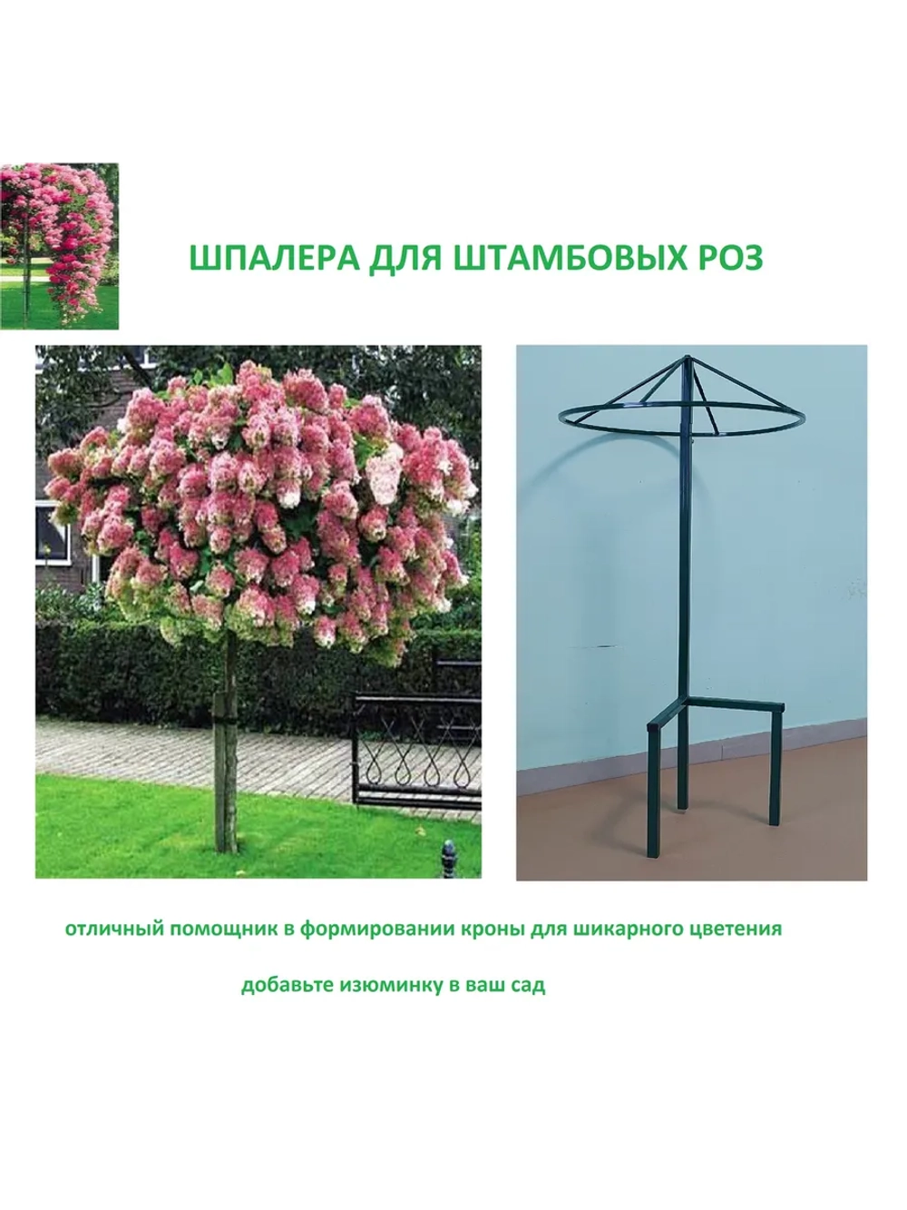 Шпалера для роз