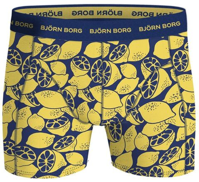 Мужские спортивные боксеры Björn Borg Cotton Stretch Boxer 3P - black/blue/print