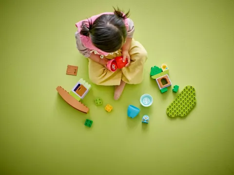 Конструктор LEGO Duplo 10440 Дерево балансировки и укладки