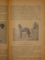 "Дрессировка и натаска подружейных собак". Г.Оберлендер. 1910г.
