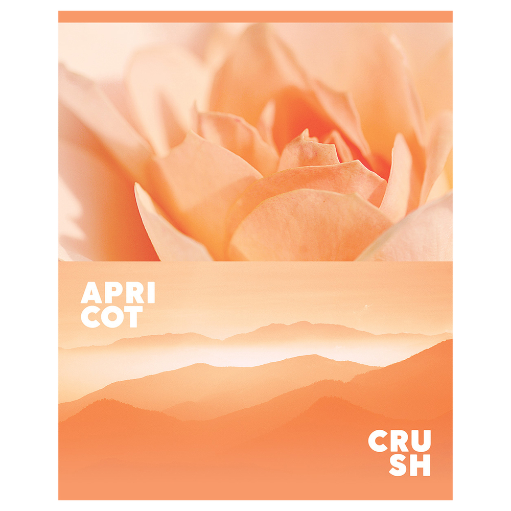 Тетрадь 48л., А5, клетка BG "Apricot", матовая ламинация