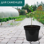 Горшок для рассады, 20 л, d=35.5 см, h=30.5 см, чёрный, Greengo
