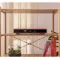 Canor Audio Verto D4S Bronze