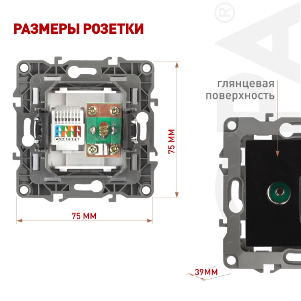 Розетка ЭРА Серия 12 12-3110-06 комбинированная RJ45+TV IP20 чёрный | Эра 12
