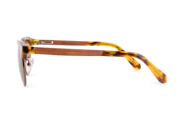 Очки солнцезащитные Spunky Teddy 6 Tortoise / Dark brown lens - фото 3