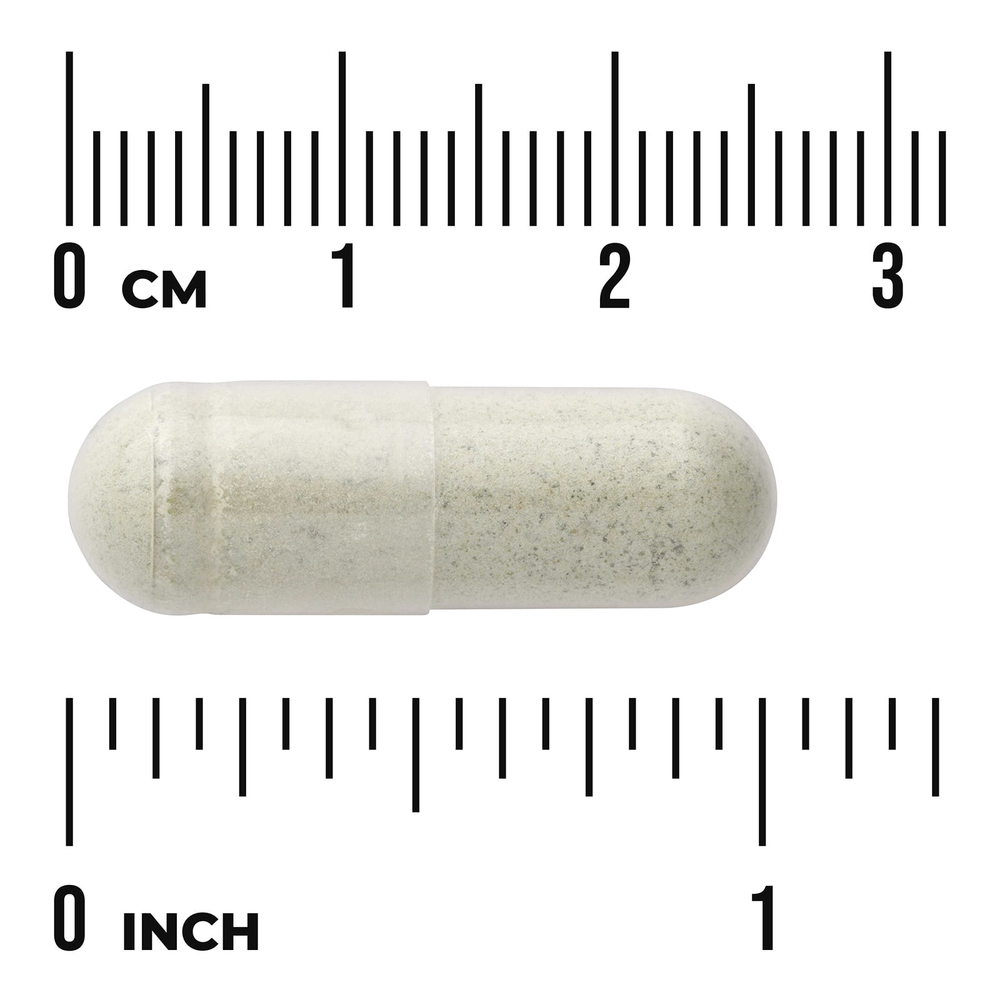 Swanson Vitamins, альгинат натрия из бурых водорослей с листьями кинзы, 60 растительных капсул