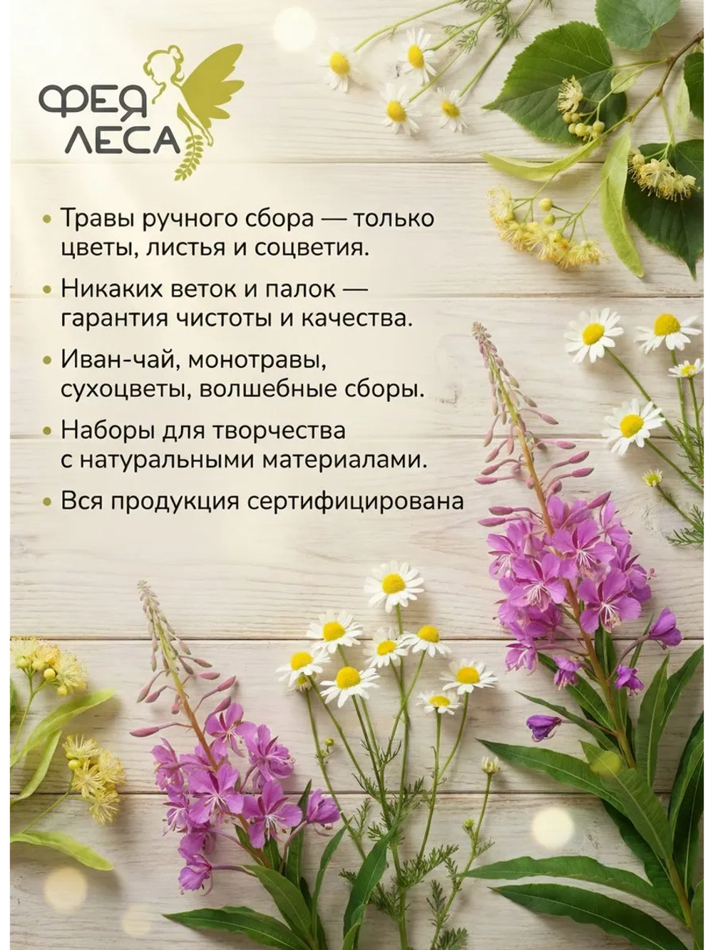 Зверобой соцветия сушеные для отваров чая и творчества