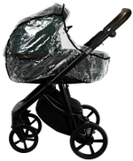 Детская коляска Roan Esso 3 в 1 с автокреслом Pituso Baesa Pro Black,Beige Canopy ESS113/1 Dark Green/Black